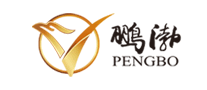 鵬渤PENGBO怎么樣