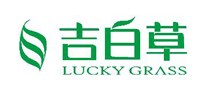 吉白草怎么樣