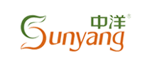 中洋Sunyang怎么樣
