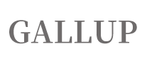 Gallup蓋洛普怎么樣