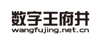 數(shù)字王府井怎么樣